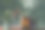泰国皇家仪式用椅子，配有长矛。图片下载
