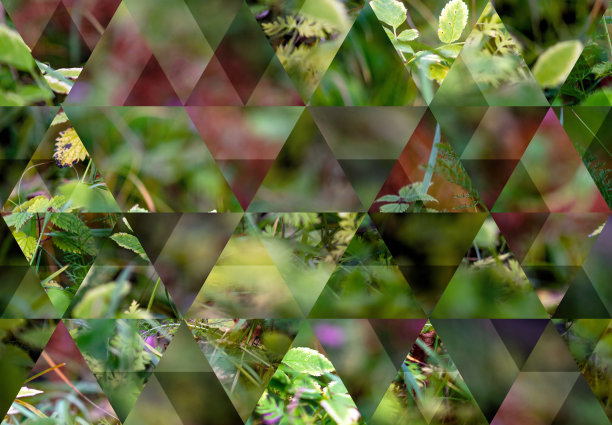 抽象三角形马赛克背景:高山植物秋季背景图片下载