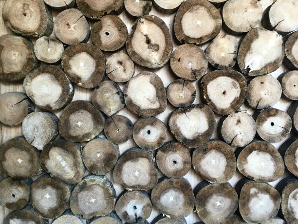 修剪成图案的木头。图片下载