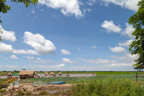 小莲花农场。芦苇做的屋顶棚子坐在水里，几乎是漂浮的。一条蓝色的船为这田园诗般的景色增添了色彩。图片下载