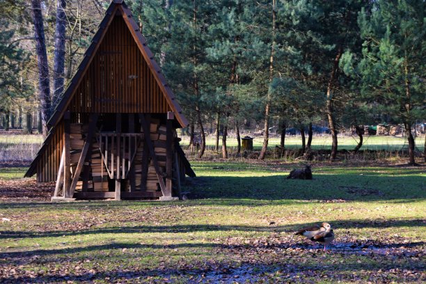 森林中的小木屋图片下载