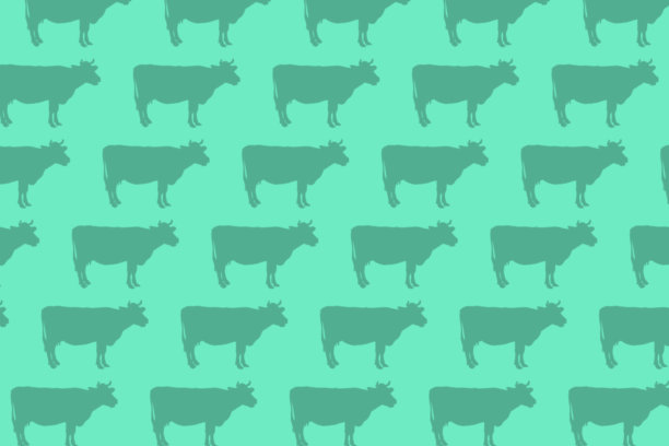 牛剪影孤立在亮蓝色或薄荷背景动物图案。图片下载