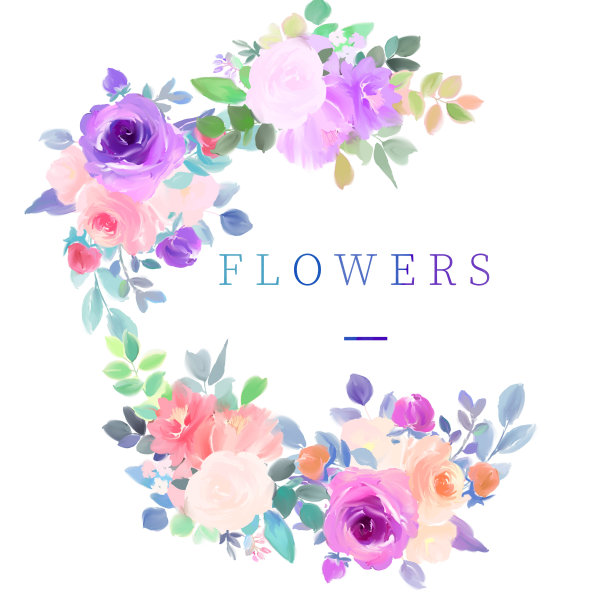 优雅美丽的水彩玫瑰花束图片下载