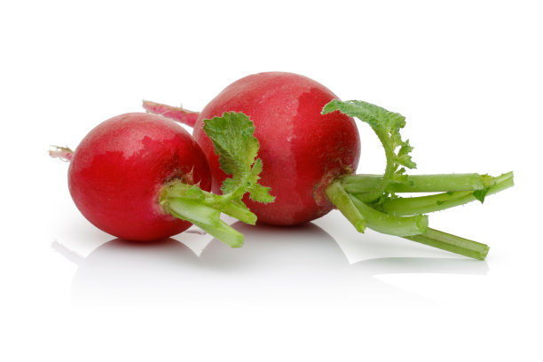 红萝卜孤立于白萝卜上图片下载