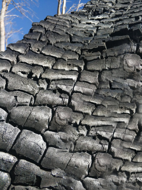 烧焦的木板墙纹理图片下载