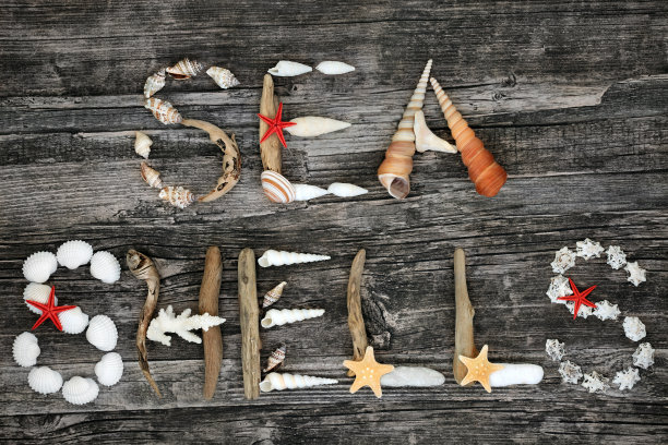 海洋贝壳抽象背景图片下载