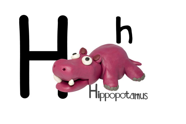 卡通人物，河马孤立在白色背景上。图片下载