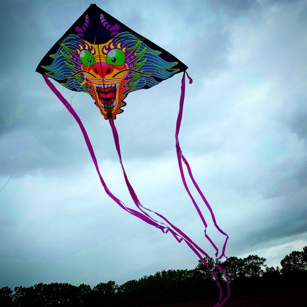 放风筝图片下载