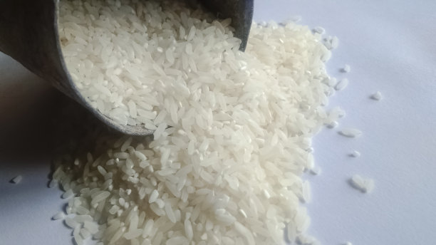 大米可以图片下载