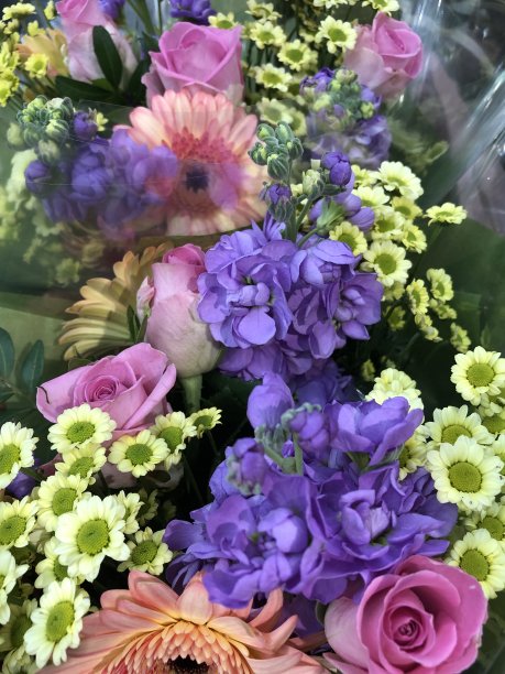 用玻璃纸包裹的各种花束，包括粉红色和紫色的玫瑰和小苍兰图片下载