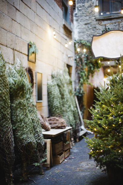 圣诞市场图片下载