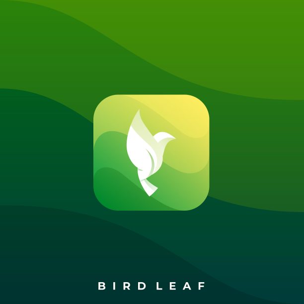 鸟图标插图矢量设计模板图片下载