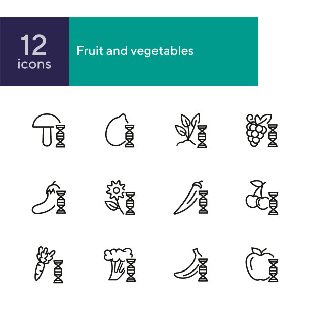 水果和蔬菜线图标设置图片下载