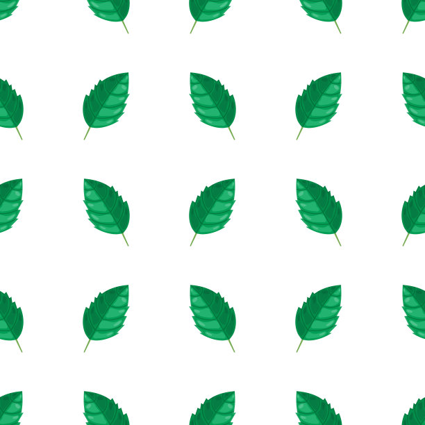 无缝模式与薄荷卡通绿色叶子孤立的白色背景。矢量插图设计，网，包装纸，织物。图片下载