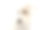 一个可爱的杂种狗悲伤地向下看图片下载