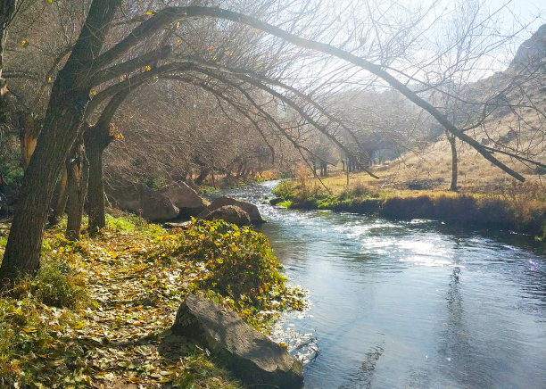 秋天的河流和森林图片下载