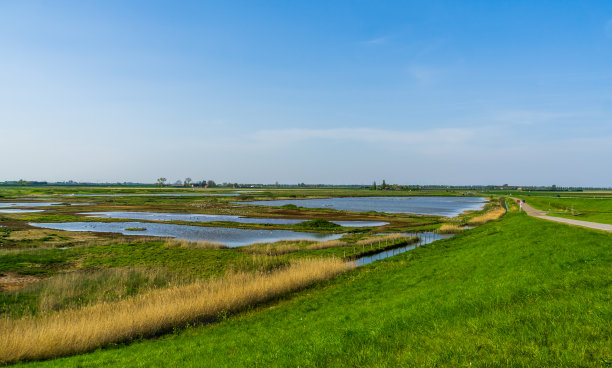 schakerloopolder在tholen，美丽的自然保护区在zeeland，荷兰图片下载