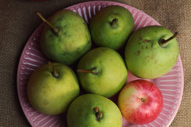 绿黄有机梨和一个小红苹果，与众不同，在精致的粉红色盘子上，在粗糙的复古布画布上。深色大气的水果照片，秋高气爽，10月丰收俯视图图片下载