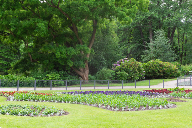 穿过Tiergarten公园图片下载