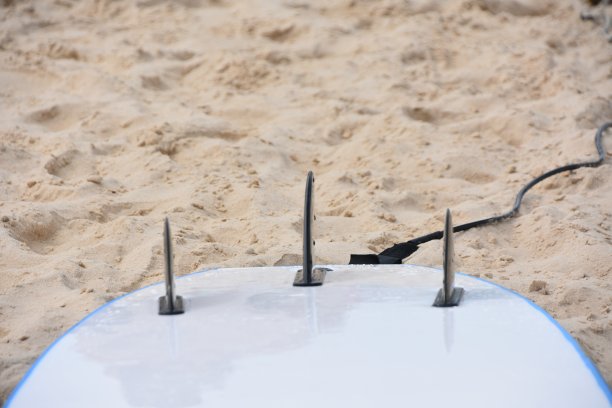 冲浪板背面图片下载