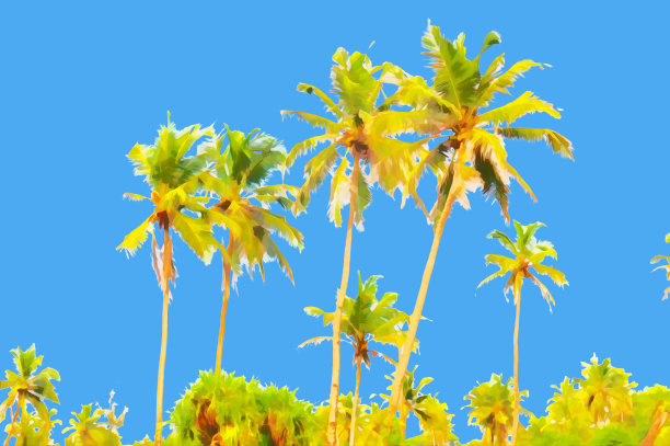 抽象的热带水彩景观。蓝天下细长的棕榈树。数字绘画。图片下载