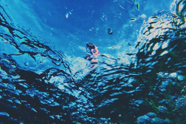 在水里的观点图片下载