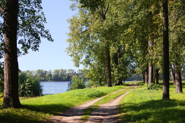 在一个阳光明媚的日子里，公园的土路在河岸上。Horizontall图片。图片下载