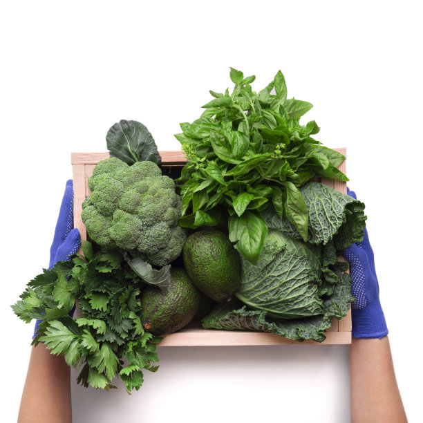 女士推荐新鲜的绿色绿色蔬菜图片下载