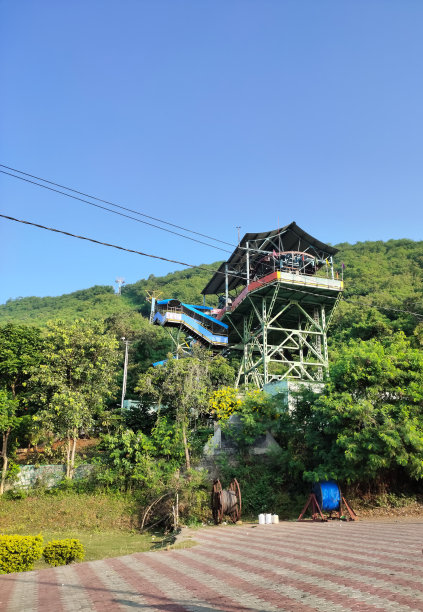 绿树青山。图片下载