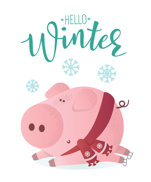 你好,冬天的旗帜。可爱的猪戴着冬季围巾图片下载