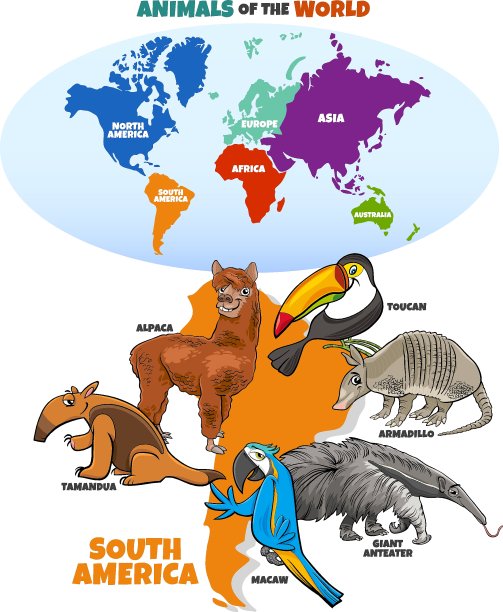 南美卡通动物的教育插图图片下载