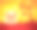 2019新年快乐!中国新年。猪年到了。图片下载