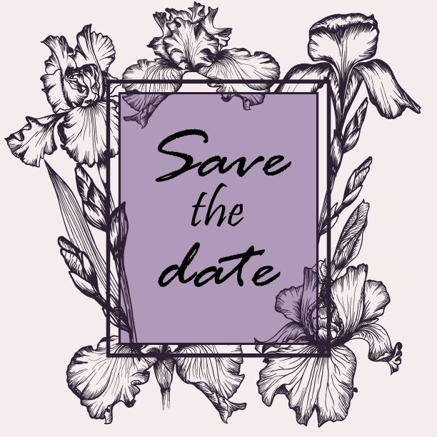 紫罗兰鸢尾植物花在载体。图片下载