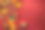 中国的硬币或中国结和中国金元宝和传统的中国结(外国文字意味着祝福)和红色的信封和装饰与新鲜的橙子在红色的背景素材图片