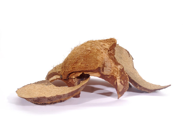 椰子壳木炭。图片下载