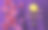 2019年春节快乐。猪年，剪纸造型。中文字符代表2019年新年快乐、财气、十二生肖平板或手机壁纸、平板或智能手机屏幕分辨率图片下载
