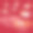 春节快乐，纸画梅花花和云上猪设计，快乐猪年中文字，生肖2019图片下载