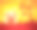 2019新年快乐!中国新年。猪年到了。图片下载