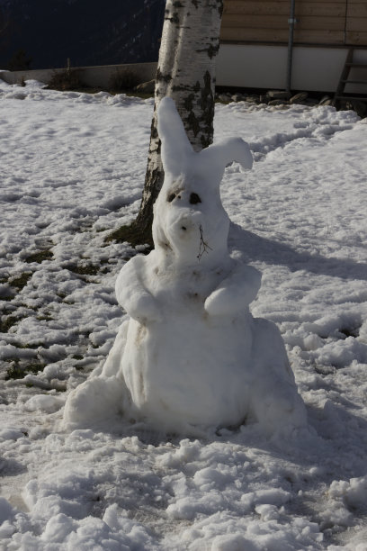 一只雪做的兔子图片下载