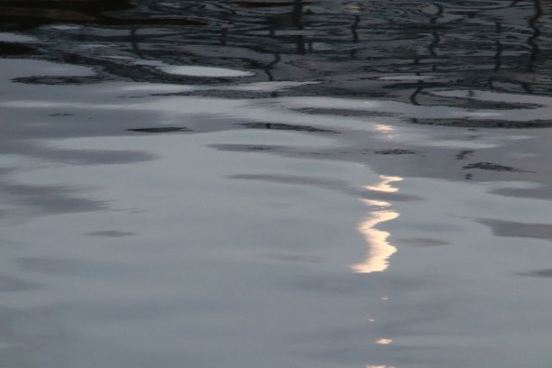 水中的暗影和倒影图片下载