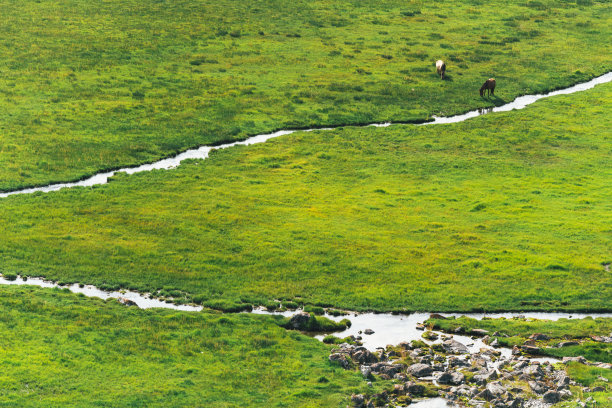 美丽的中国新疆巴音布鲁克草原图片下载