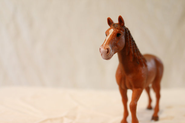 塑料玩具马图片下载