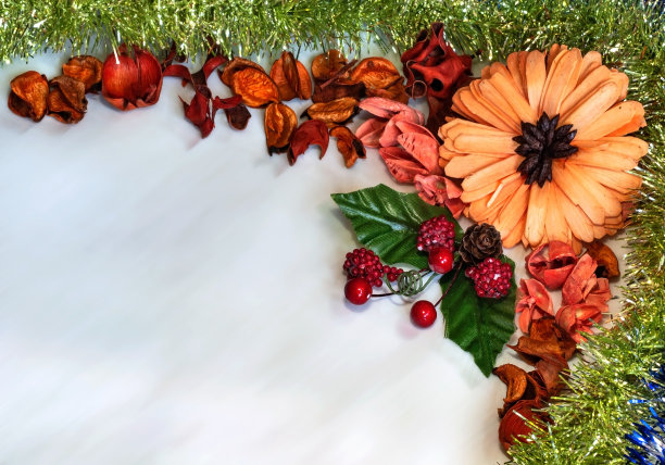 各种干花，树叶和树皮的框架，装饰着闪亮的金属丝，模板贺卡，请柬，日历。文本的空闲空间。图片下载