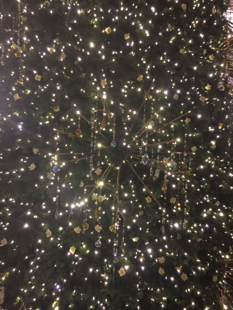 圣诞树图片下载