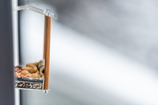 侧面特写的一个空的小玻璃塑料喂鸟器对窗户特写在冬天的雪在弗吉尼亚模糊的背景充满了坚果种子图片下载