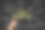 项目管理的概念图片下载