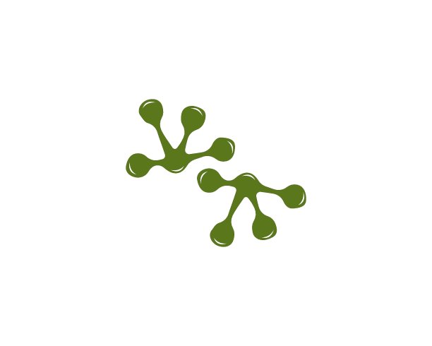 青蛙模板矢量图标插图图片下载