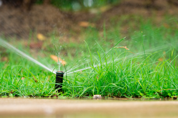 近距离低角度自动洒水喷头图片下载