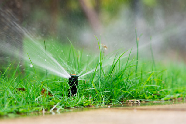 近距离低角度自动洒水喷头图片下载