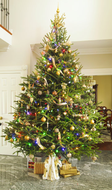 装饰圣诞树图片下载